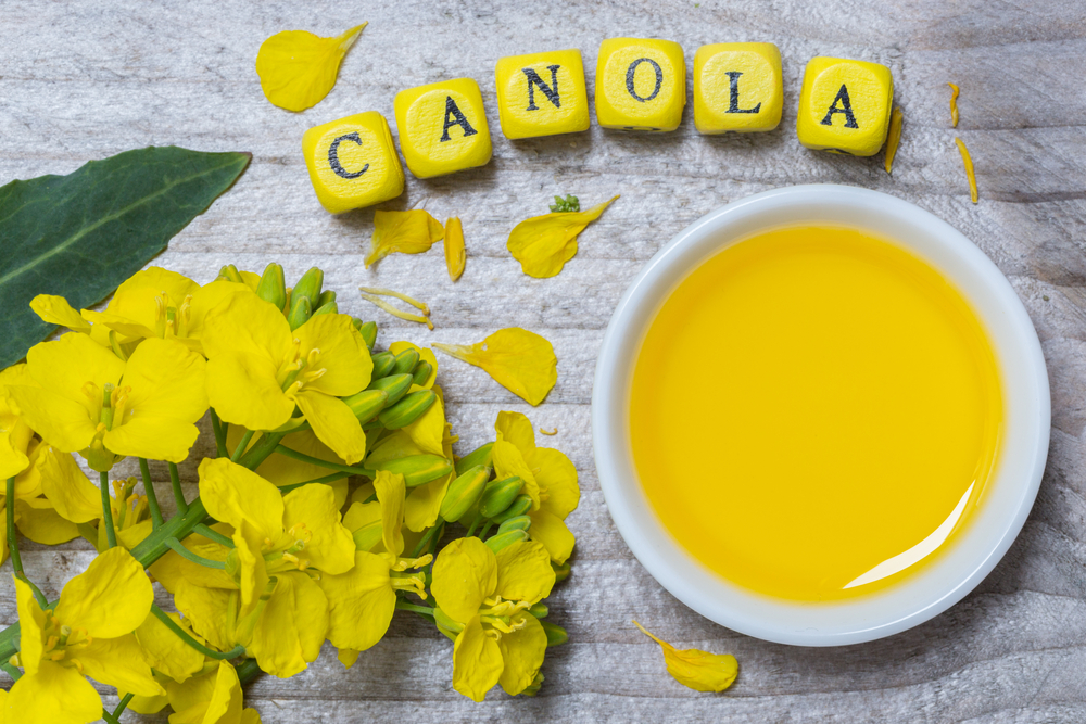 Canola Oil: Healthy Or Not?
