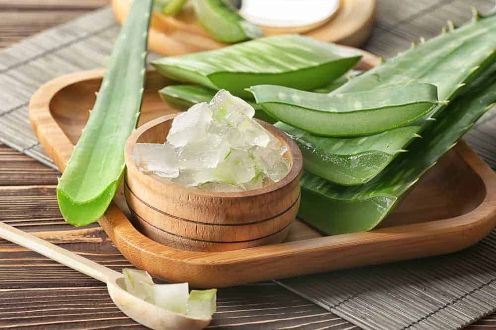 Benepisyo ng aloe vera, alamin dito kung anu-ano ang mga ito