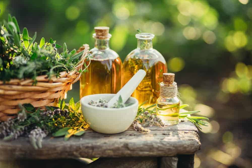 Karaniwang Halamang Gamot: Heto Ang Isang Listahan