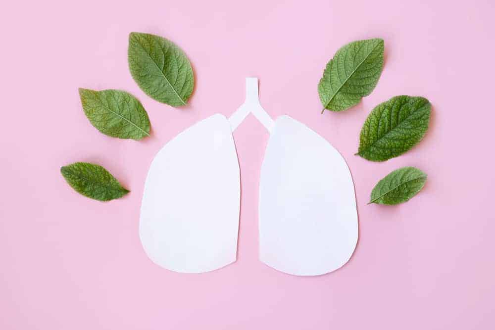 Herbal Para Sa Lungs: Heto Ang Maaari Mong Subukan