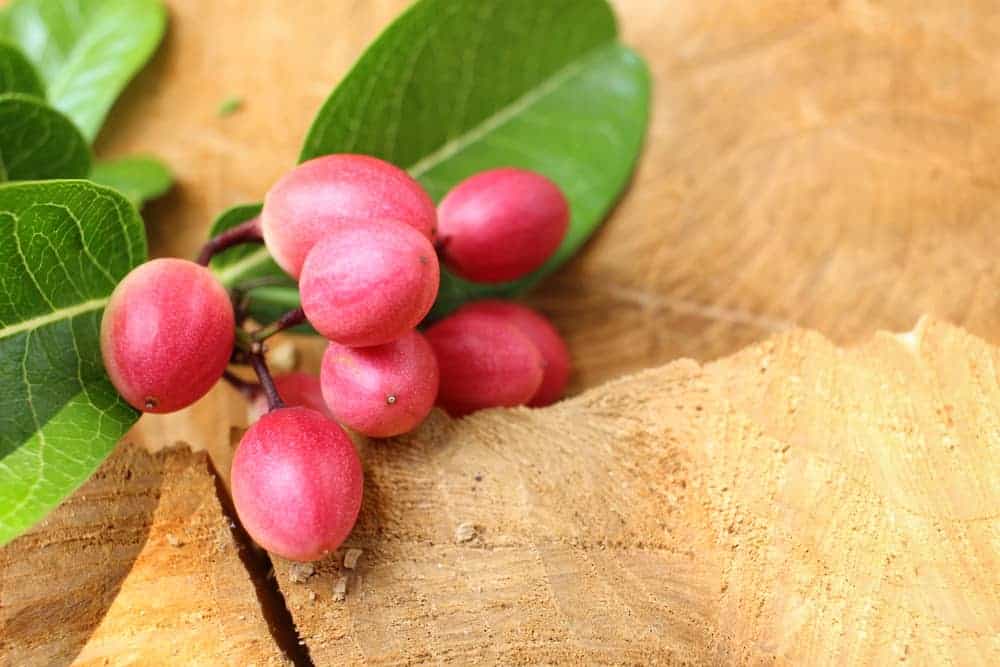 Benepisyo Ng Miracle Fruit Sa Kalusugan, Anu-Ano Nga Ba?