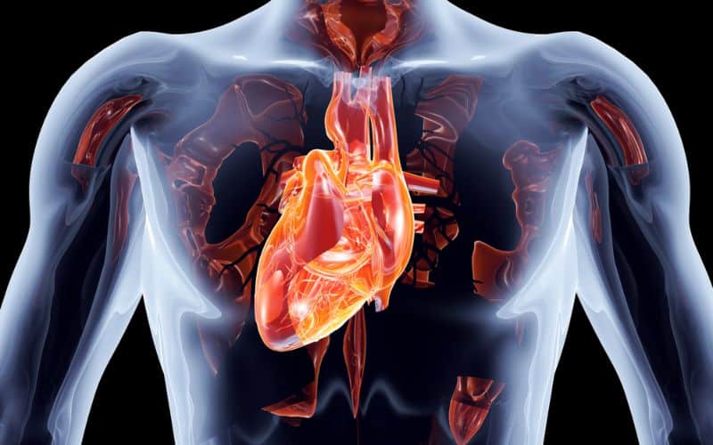 Congenital Heart Disease Symptoms: What To Watch Out For