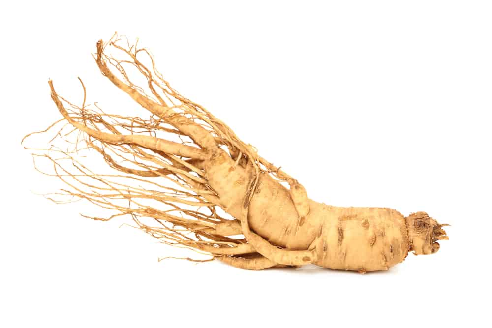 Halamang Gamot Sa Sakit Sa Katawan: Anu-Ano Ang Mga Mabisa?