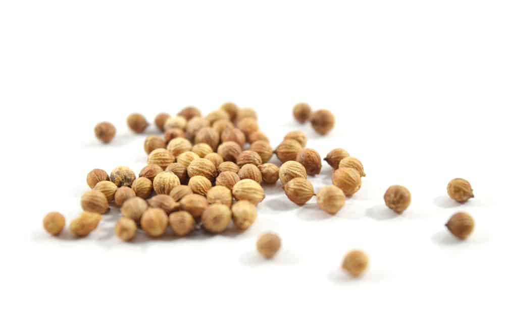 Buto Ng Kulantro: Ano Ang Benepisyo Nito?