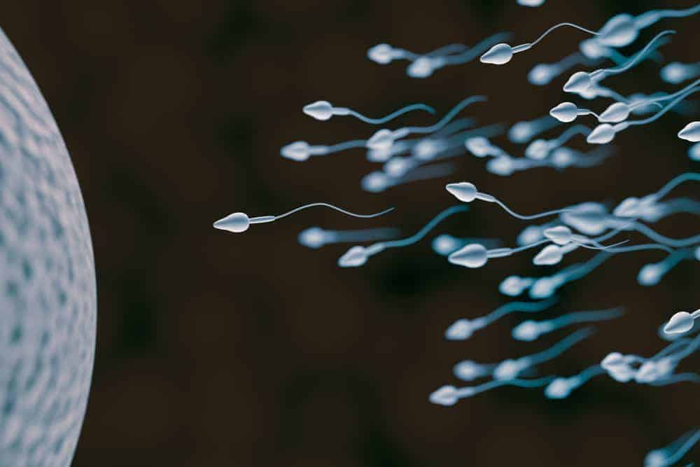Mababang Sperm Count, Paano Mareremedyohan