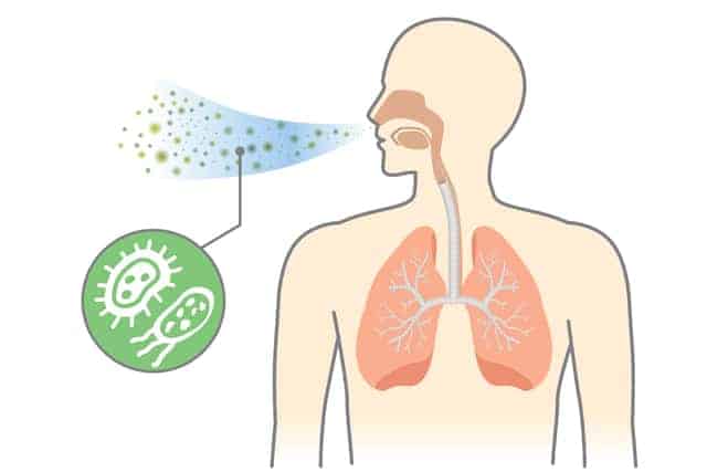 Effective ba ang Air Purifier Necklace? Alamin Dito ang mga Fact