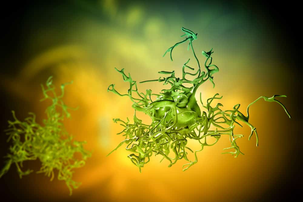 Amoebiasis: Sanhi, Sintomas, Paggamot, At Pag-iwas