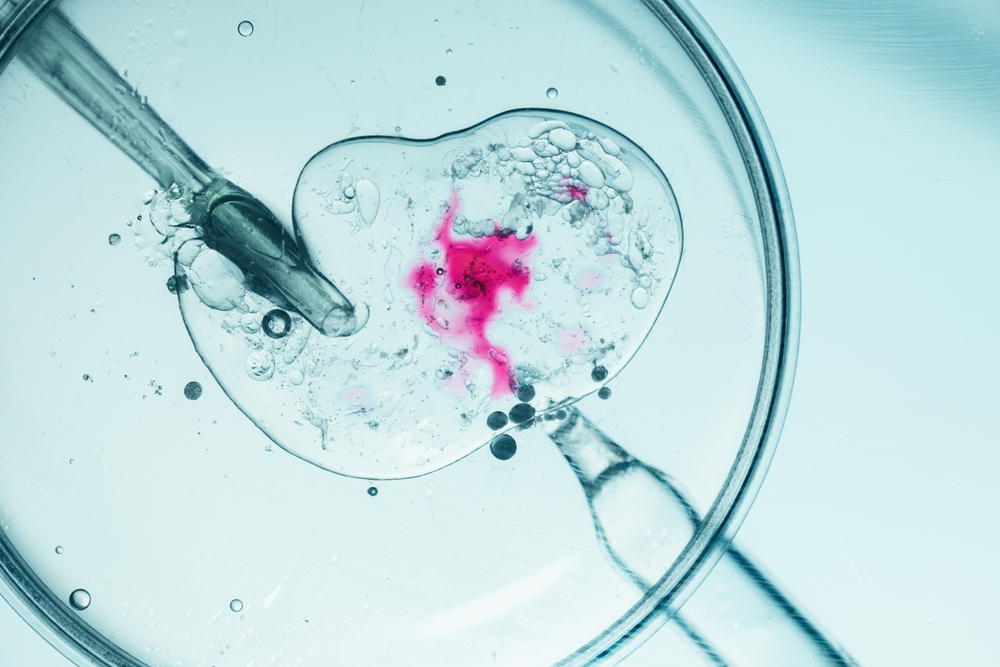 paano-ginagawa-ang-ivf