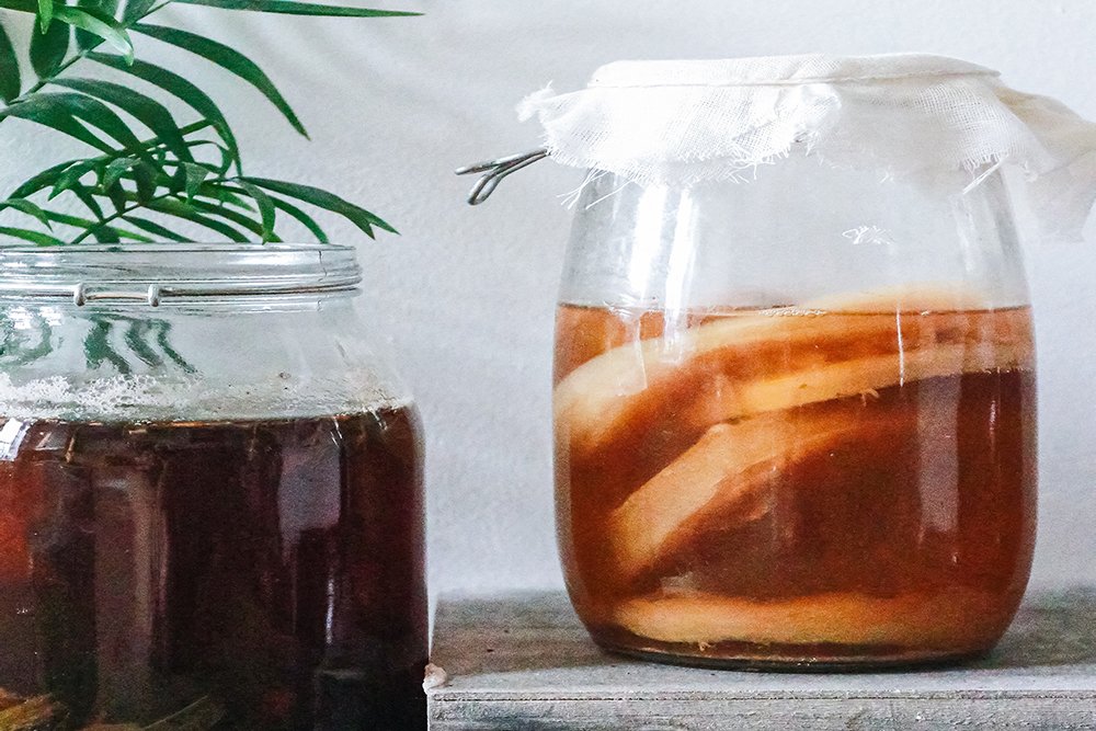 What Is Kombucha?