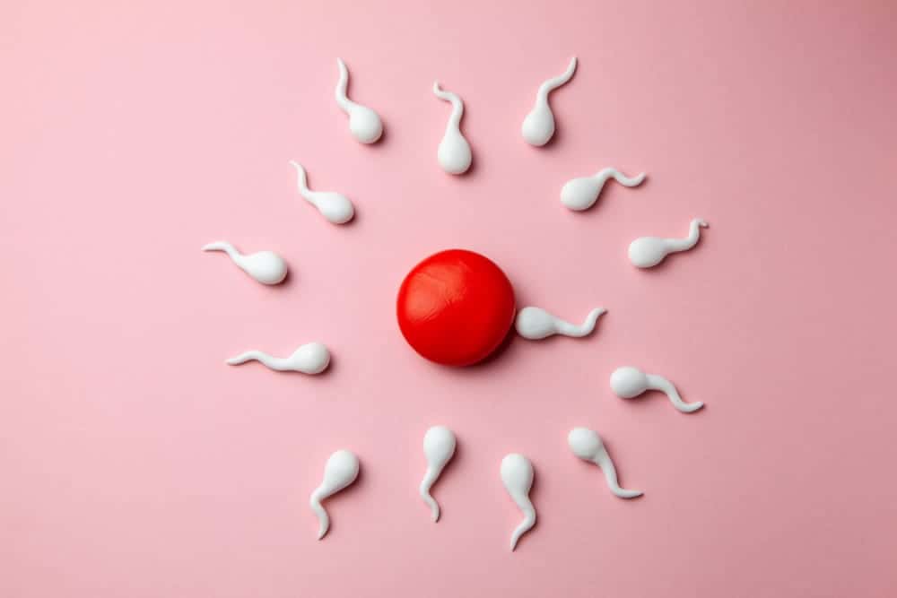 Ano Ang Sperm Motility? Nakaaapekto Ba Ito Sa Fertility?