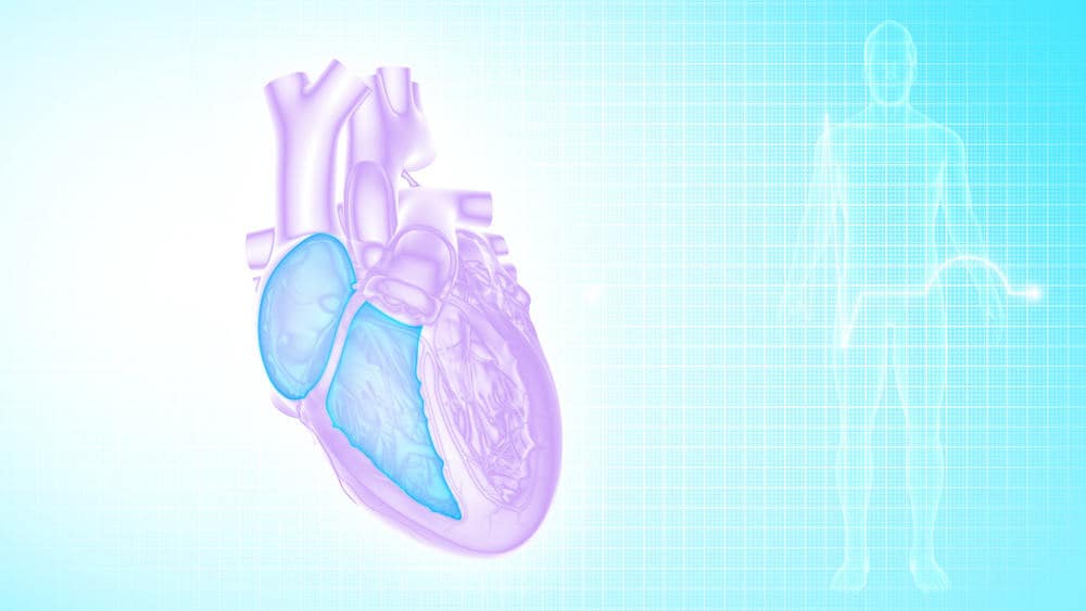 Mga Posibleng Sanhi Ng Paglaki Ng Right Atrium Ng Puso